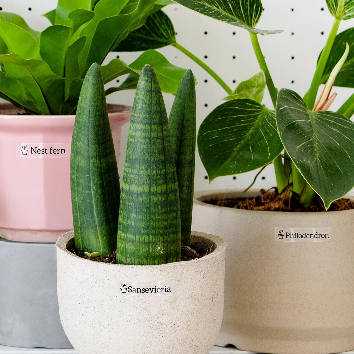 COLORWING Kompatible für Brother TZe-131 TZe131 TZ 131 12mm Schriftbänder Schwarz auf Transparent Laminiert 0.47 Bänder Für Ptouch PT H105 H110 1000 1005 1010 D400, 3x